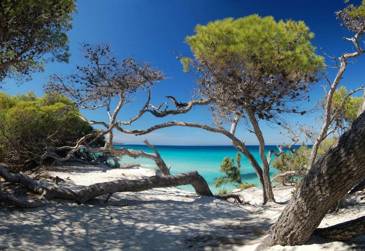 T2 Pour 4 Pers, Charmante Residence Avec Piscine Oletta  Exteriér fotografie